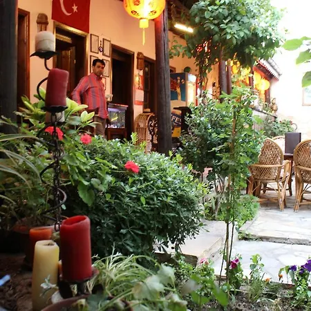 Boomerang 2* Selcuk