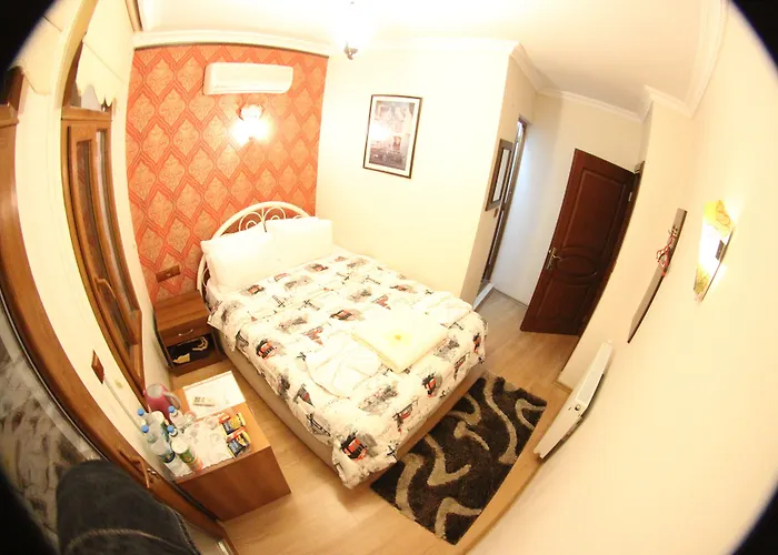 Boomerang Pensiune 2*