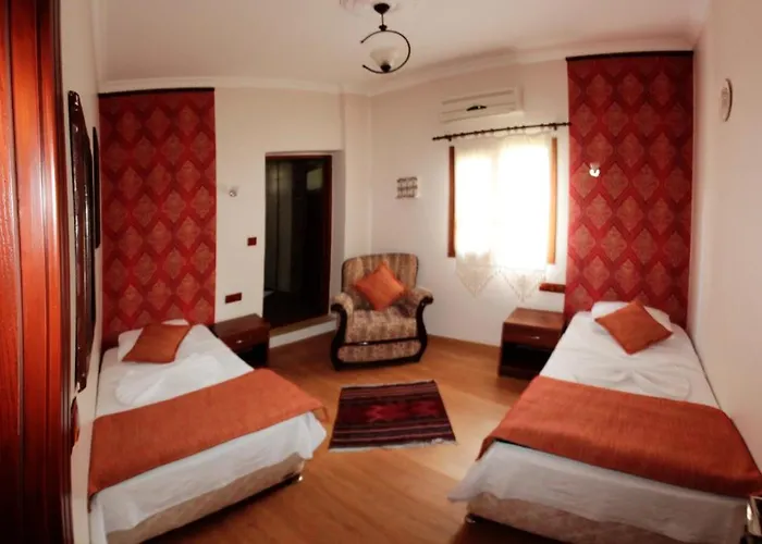 Boomerang Pensiune 2*